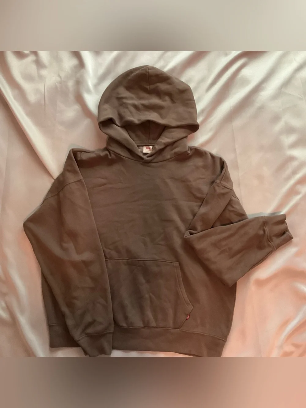 Levi's Men's Hoodie in Olive Brown